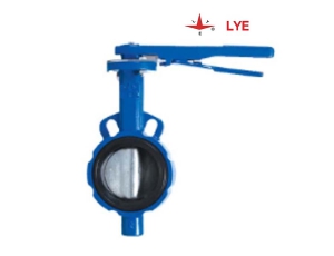 Van bướm Wafer đồng tâm LYE