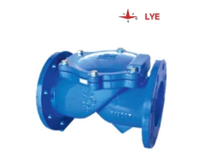 Van một chiều cánh lật LYE