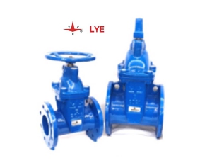 Van cổng ty chìm LYE resilient seat