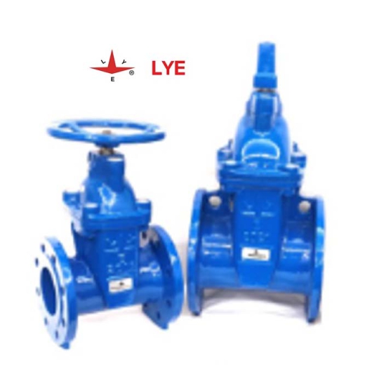 Van cổng ty chìm LYE resilient seat
